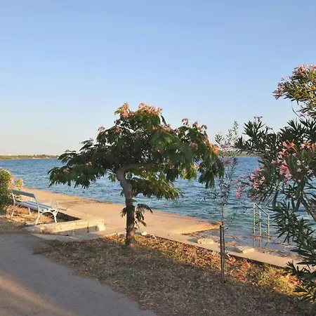 Tim Sveti Petar (Zadar)